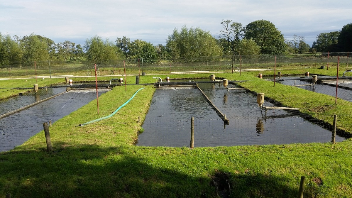 water management img